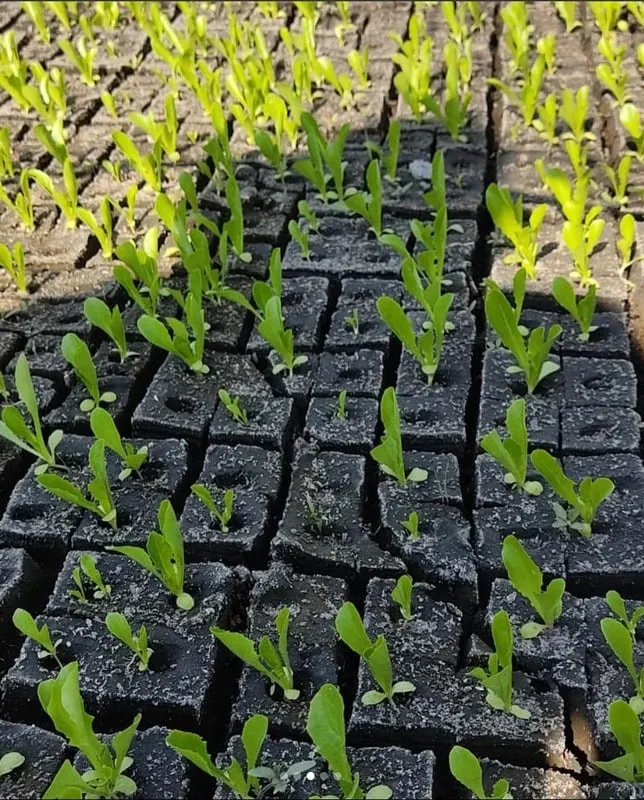 Catálogo de Experiencias y Talleres de Agroturismo