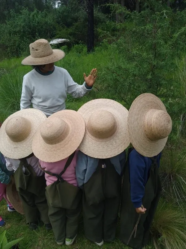 Programa de Difusión del Patrimonio Chinampero